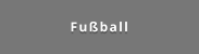 Fußball