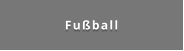 Fußball